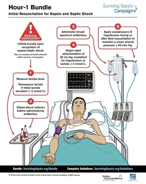 sepsis septic resuscitation initial surviving critical bundles cardiopulmonary intensive guideline