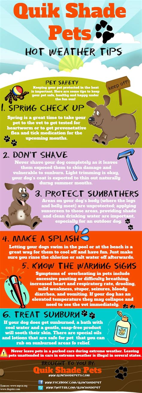 pet tips safety pets summer hot weather keep infographic dogs infographics safe printable dog heat save emergency sticker thecottagemarket during