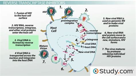 antiretroviral hiv medications