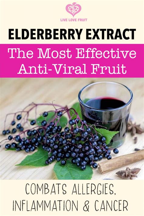 elderberry benefits extract livelovefruit